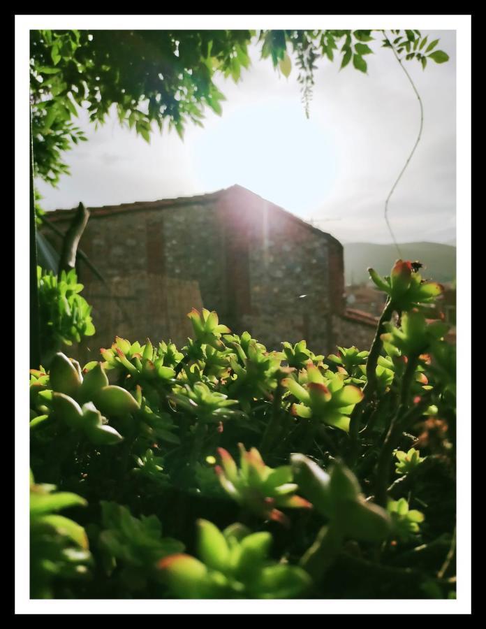 La Belle D'Ame - Guest House พุราเดส์ ภายนอก รูปภาพ